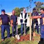 Sul Informação - União de Freguesias de Faro planta meia centena de árvores no Parque Ribeirinho