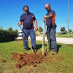 Sul Informação - União de Freguesias de Faro planta meia centena de árvores no Parque Ribeirinho