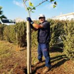 Sul Informação - União de Freguesias de Faro planta meia centena de árvores no Parque Ribeirinho