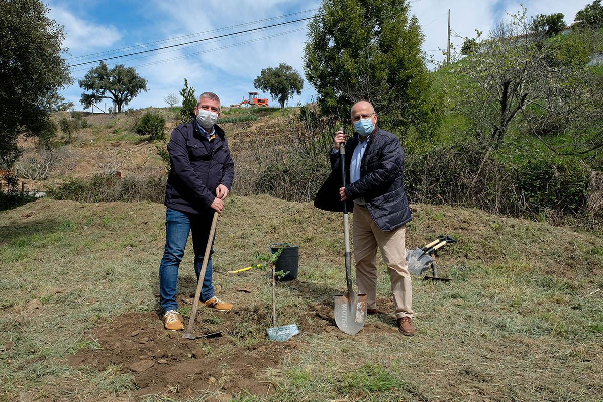 Sul Informação - Loulé planta quatro árvores de forma simbólica em Vale Maria Dias, na Serra do Caldeirão