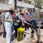Sul Informação - Crianças e idosos de Boliqueime juntam-se em atividade ambiental