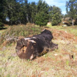 Sul Informação - Para que não se diga: «A Serra de Monchique está a arder!!!»