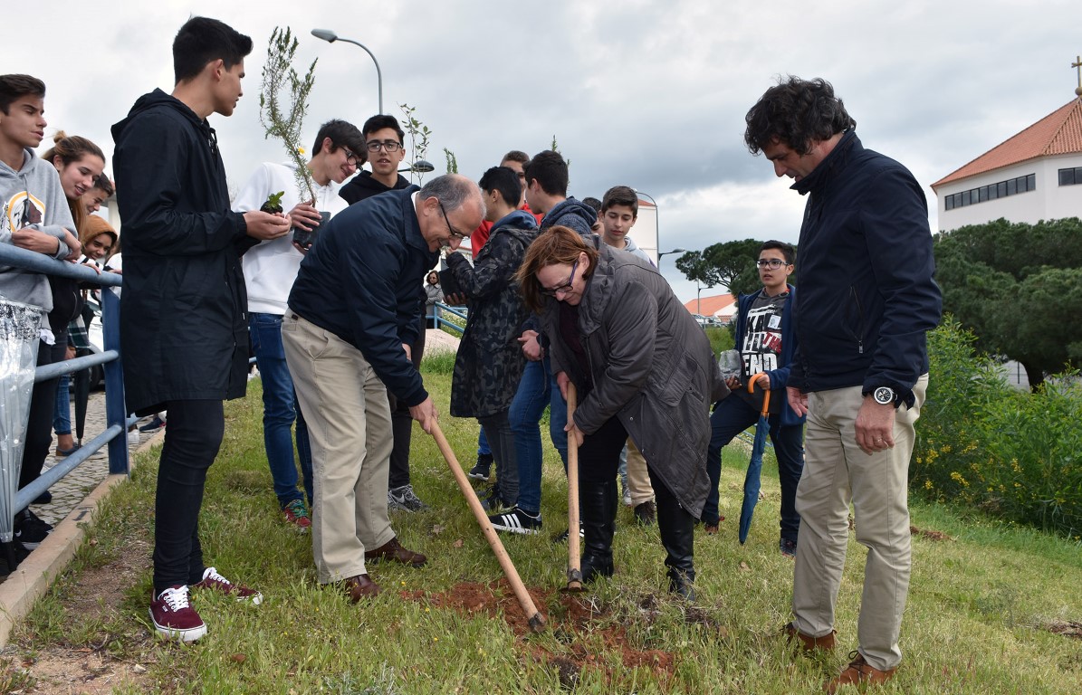 Sul Informação - Câmara de Loulé vai plantar mil novas árvores no concelho até final de 2017