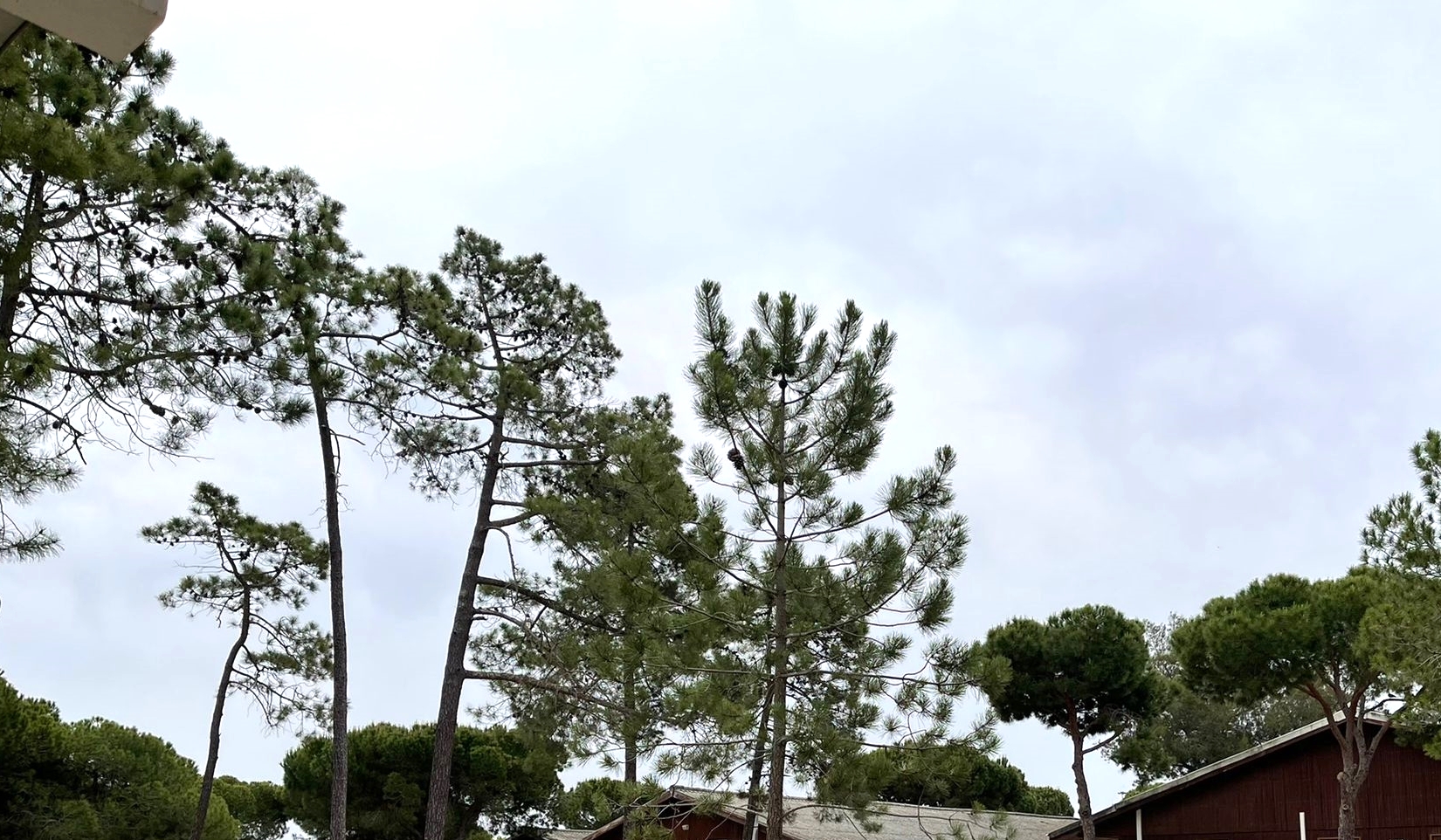 Sul Informação - As poeiras do deserto estão de volta e afetam a qualidade do ar no Algarve e Alentejo