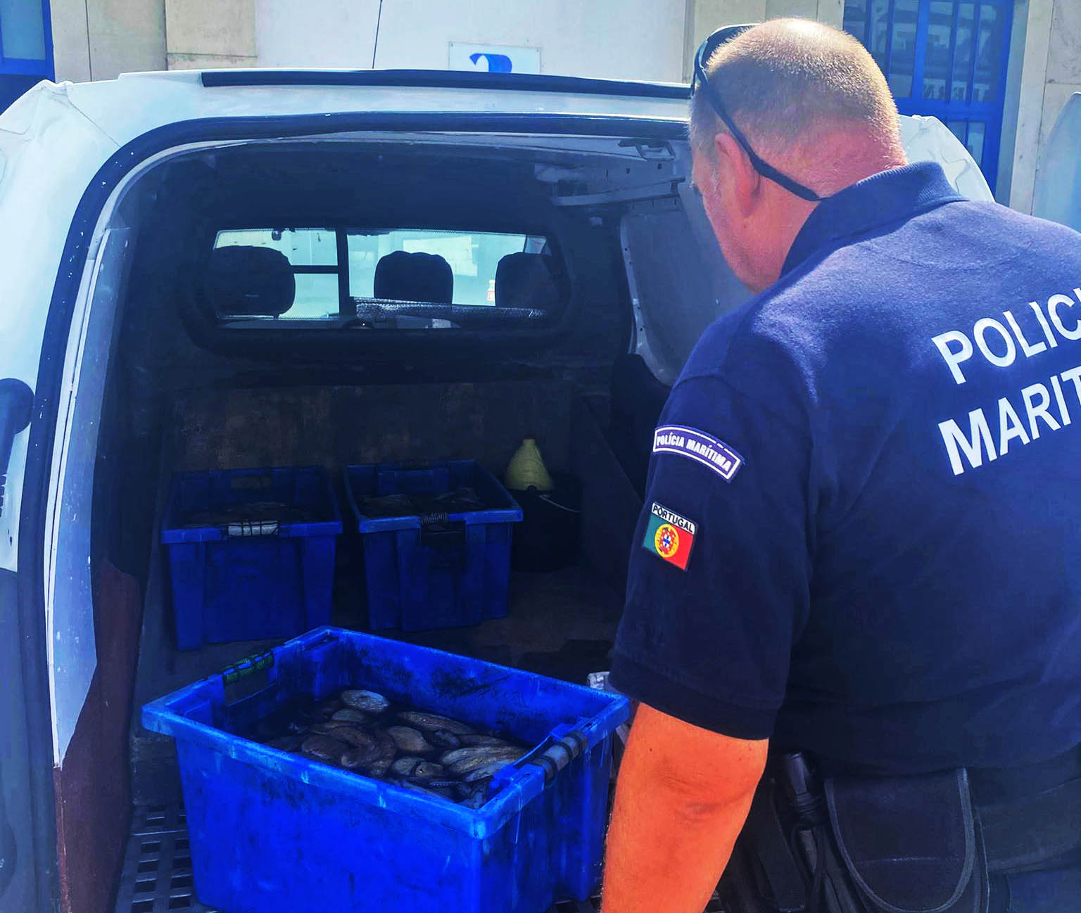Sul Informação - Polícia Marítima apreende 110 quilos de polvo em Santa Luzia