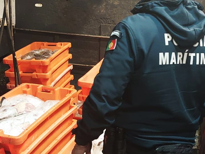 Sul Informação - Polícia Marítima apreende 430 quilos de tamboril no Porto de Pesca do Arade