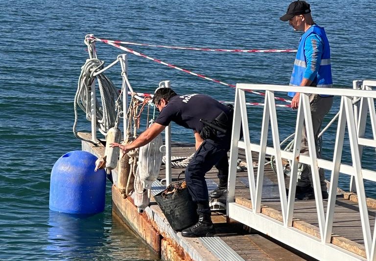 Sul Informação - Polícia Marítima apreende 97 quilos de pescado junto ao porto de pesca de Santa Luzia