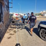 Sul Informação - Polícia Marítima, ASAE e GNR apreendem quase 85 quilos de peixe no Algarve