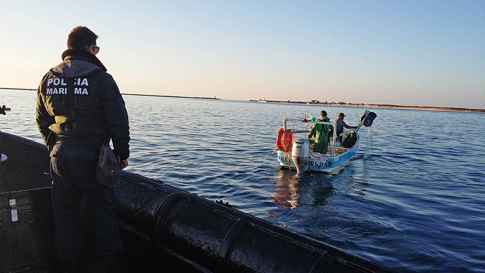 Sul Informação - Polícia Marítima apanha barco a pescar em local proibido da Ria Formosa