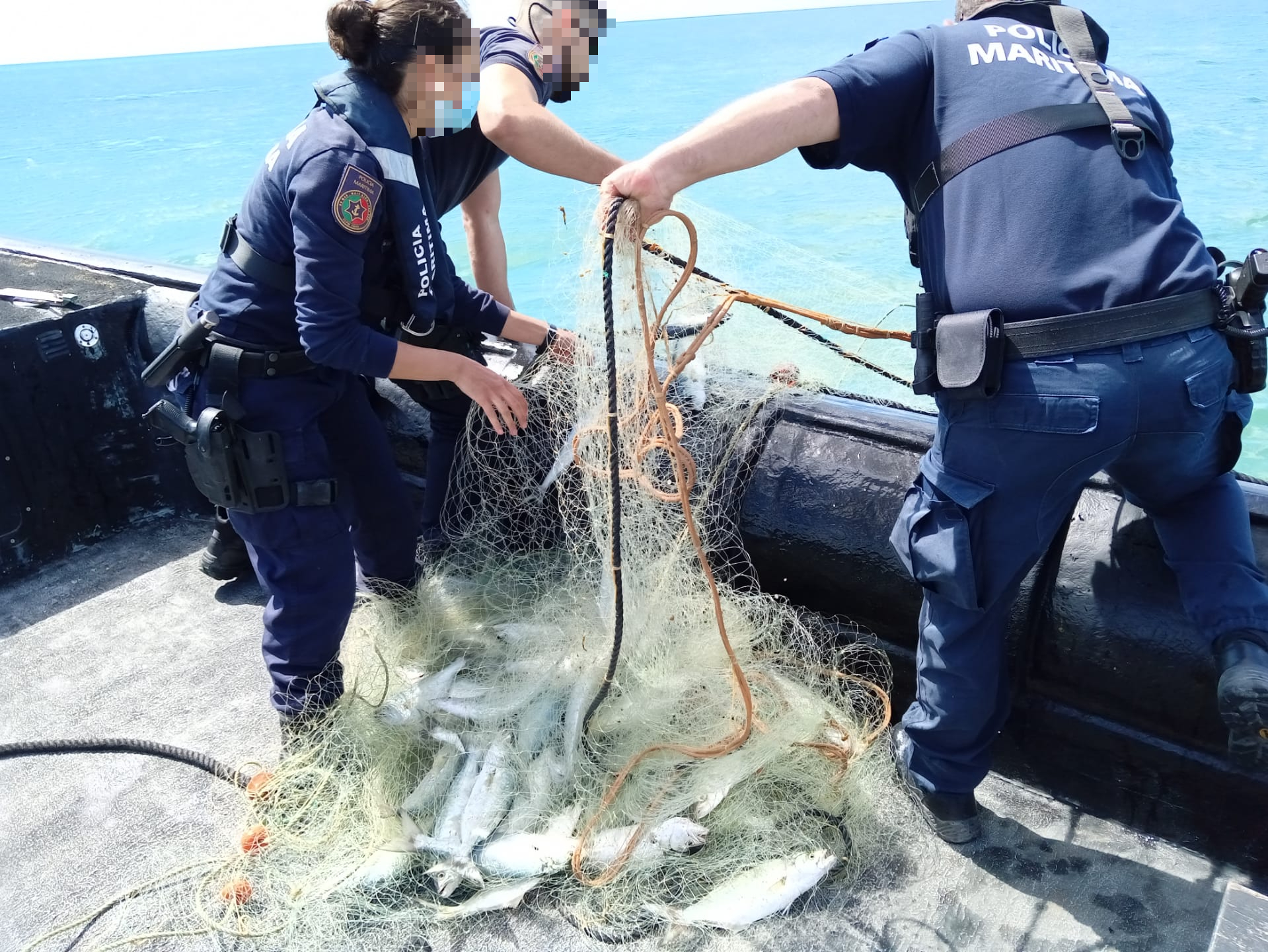 Sul Informação - Polícia Marítima apreende 118 quilos de pescado e rede de emalhar frente à praia do Ancão