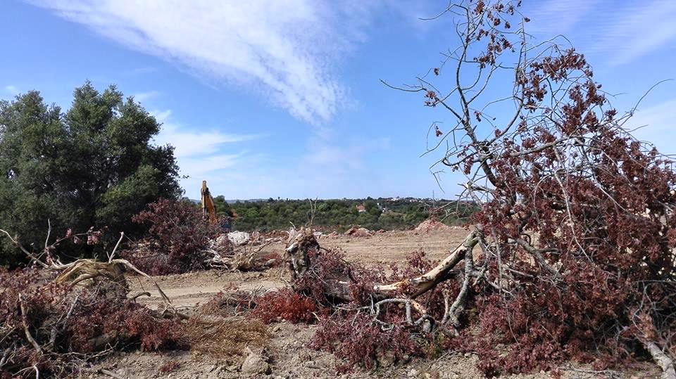 Sul Informação - Almargem contesta «atentados» contra a paisagem mediterrânica no Sotavento