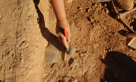 Sul Informação - Arqueologia vai ser tema do próximo Café com Letras