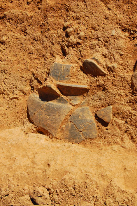 Portela da Arca_arqueologia_14 Sul Informação