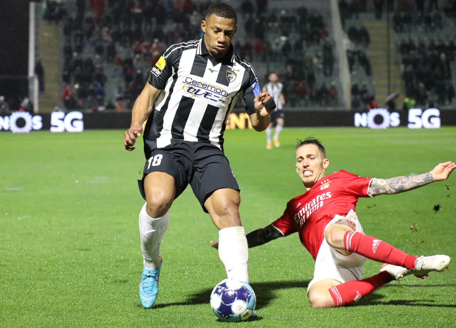 Sul Informação - As imagens da reviravolta do Benfica frente ao Portimonense [fotogaleria]