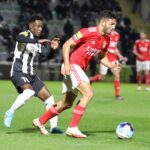 Sul Informação - As imagens da reviravolta do Benfica frente ao Portimonense [fotogaleria]