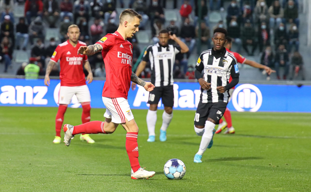 Sul Informação - Portimonense não conseguiu segurar vantagem frente ao Benfica