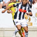 Sul Informação - Fotogaleria: Bastou um golo para Portimonense voltar às vitórias