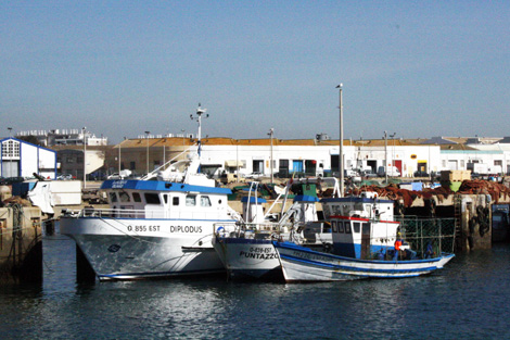 Sul Informação - Governo anunciou investimento de 250 mil euros no Porto de Pesca de Olhão