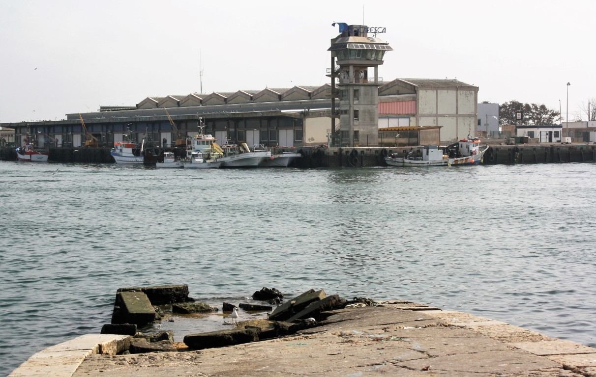 Sul Informação - Segurança nos portos de Portimão, Lagos e Sagres e necessidades dos ilhéus motivam obras