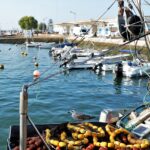 Sul Informação - Vai nascer uma nova zona para a náutica de recreio no Porto de Pesca de Olhão