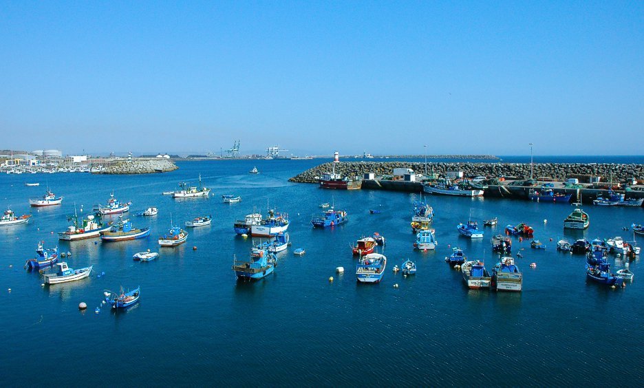 Sul Informação - Docapesca reabilita armazéns no Porto de Pesca de Sines