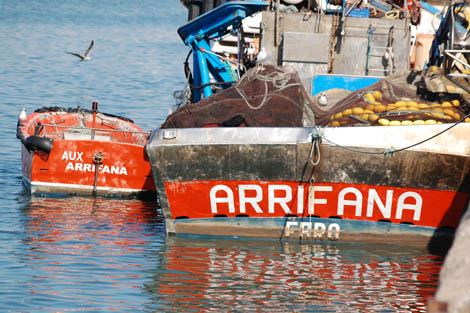Sul Informação - Docapesca promove tertúlias sobre a valorização do pescado em Portimão e Olhão