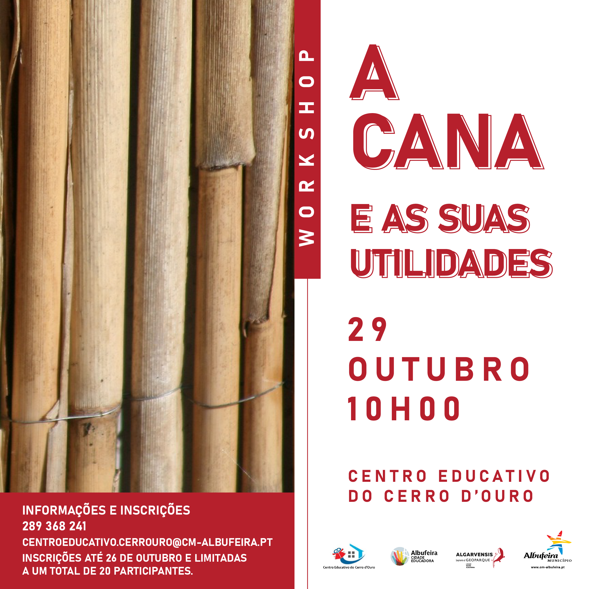 Sul Informação - Albufeira promove workshop sobre “A Cana e as suas Utilidades”