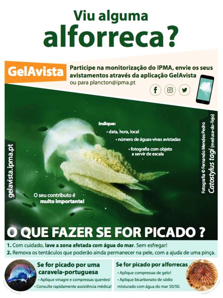 Sul Informação