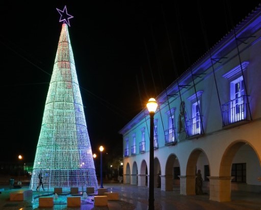 Sul Informação - Tavira oferece cabazes de Natal a 900 famílias