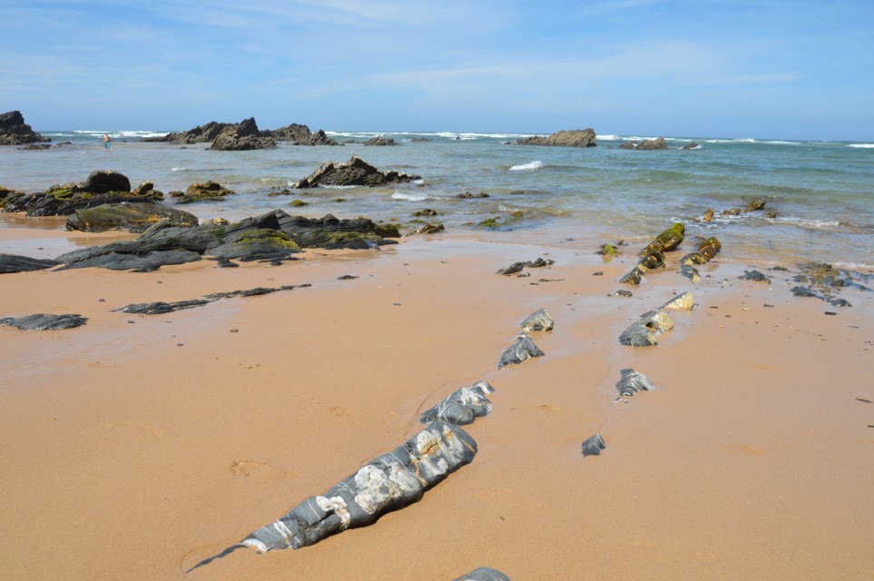 Sul Informação - Alentejo tem mais três praias com Bandeira Azul, todas no concelho de Odemira
