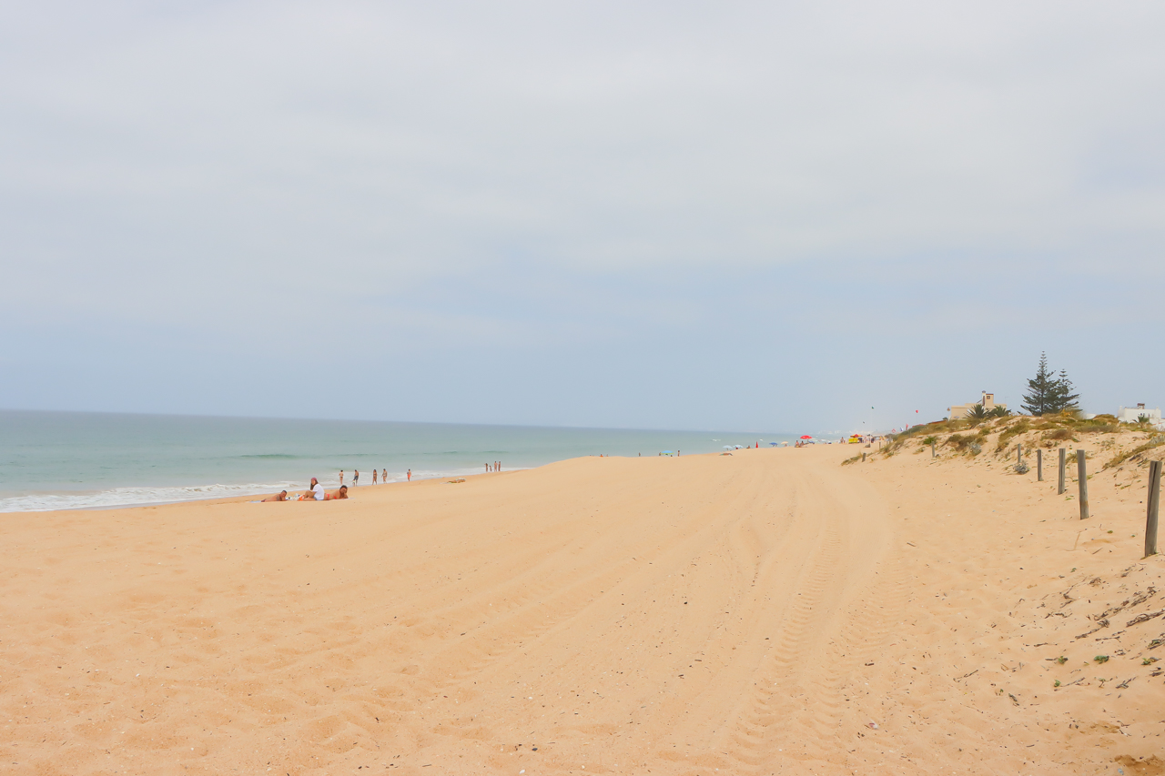Sul Informação - Marinha organiza recolha do lixo na Praia de Faro e limpeza subaquática na Culatra