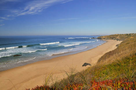 Praia do Brejo Largo Sul Informação