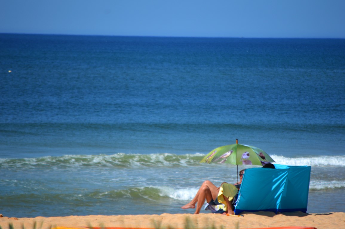 Sul Informação - Algarve espera taxa de ocupação de 80% nos feriados de Junho