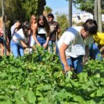Sul Informação - Associação Académica promove praxes solidárias para ajudar IPSS algarvias