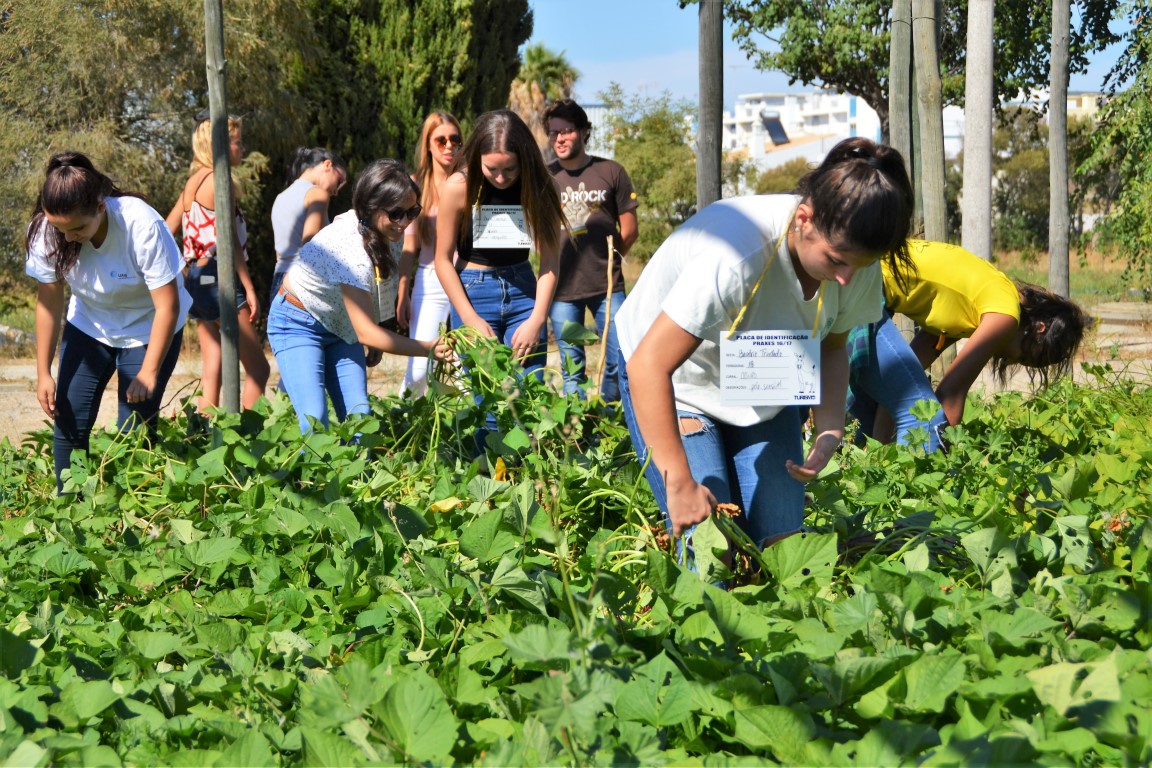 Sul Informação - Associação Académica promove praxes solidárias para ajudar IPSS algarvias