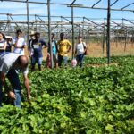 Sul Informação - Associação Académica promove praxes solidárias para ajudar IPSS algarvias
