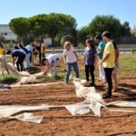 Sul Informação - Associação Académica promove praxes solidárias para ajudar IPSS algarvias