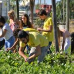 Sul Informação - Associação Académica promove praxes solidárias para ajudar IPSS algarvias