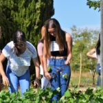 Sul Informação - Associação Académica promove praxes solidárias para ajudar IPSS algarvias