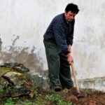 Sul Informação - Amendoeiras e gente de bem atraem milhares de pessoas a Alta Mora