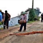 Sul Informação - Amendoeiras e gente de bem atraem milhares de pessoas a Alta Mora