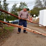 Sul Informação - Amendoeiras e gente de bem atraem milhares de pessoas a Alta Mora