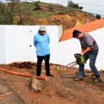 Sul Informação - Amendoeiras e gente de bem atraem milhares de pessoas a Alta Mora