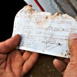 Sul Informação - Amendoeiras e gente de bem atraem milhares de pessoas a Alta Mora