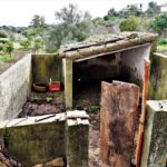 Sul Informação - Amendoeiras e gente de bem atraem milhares de pessoas a Alta Mora