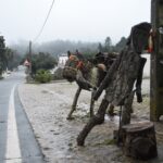 Sul Informação - Aldeia da Cortelha (Loulé) vive tradições natalícias com presépio e Madeiro de Natal