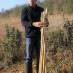 Sul Informação - Ameixial já se prepara para receber de braços abertos os caminhantes do Walking Festival