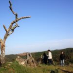Sul Informação - Ameixial já se prepara para receber de braços abertos os caminhantes do Walking Festival