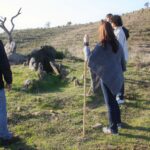 Sul Informação - Ameixial já se prepara para receber de braços abertos os caminhantes do Walking Festival