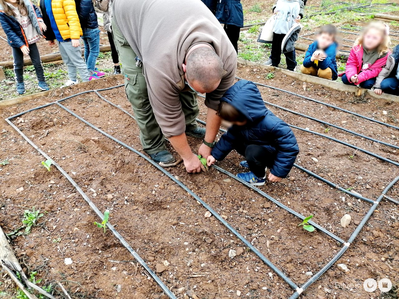 Sul Informação - Crianças de Silves plantaram abóbora e couves na Quinta Pedagógica de Silves